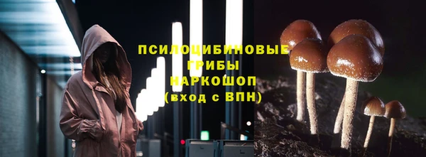 молекула духа Балахна