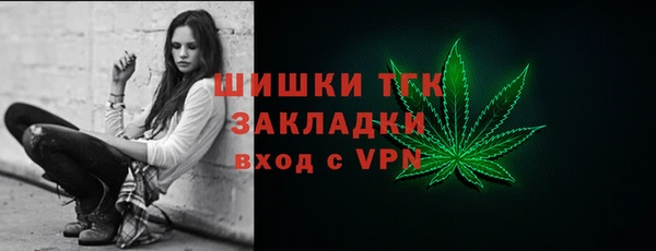 молекула духа Балахна