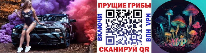 ОМГ ОМГ онион  купить  сайты  Изобильный  Галлюциногенные грибы MAGIC MUSHROOMS 